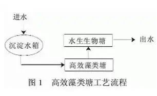 鄉(xiāng)村振興：22種新農(nóng)村建設(shè)污水處理技術(shù)總結(jié)(圖1)
