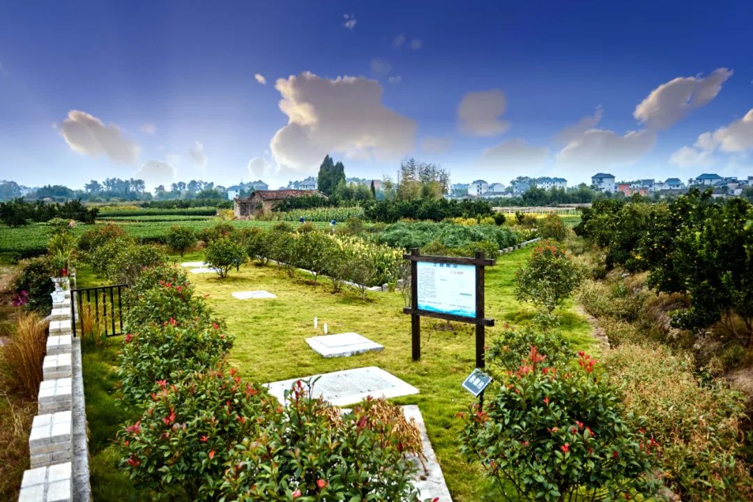 農(nóng)村生活污水處理設計選型和問題不足(圖1)